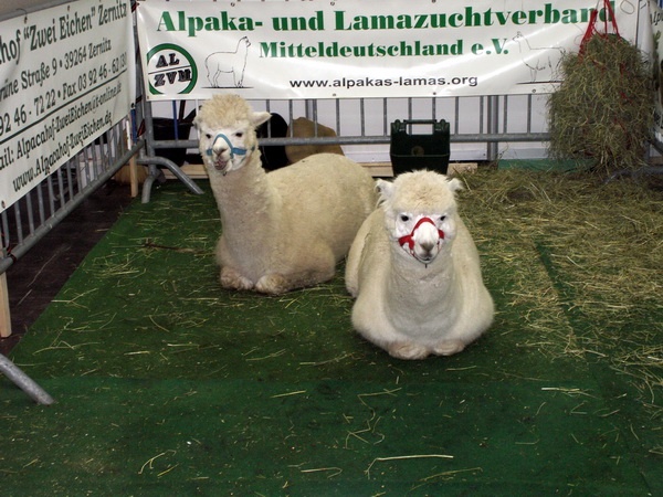 Heimtiermesse 2009   093.jpg